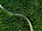 Aerial view of green forest road. Curved road from above