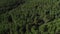 Aerial view of a green forest, shooting above the treetops, beautiful natural landscape