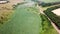 Aerial view of green and golden fields, rows of trees, and rural dirt road