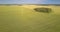 Aerial view green groves scattered among vast wheat fields