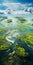 Aerial View Of Green Marsh Land: Organic Forms And Textural Play