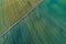 Aerial view of green meadow with diagonal lines from different crops of a field in early summer, Germany