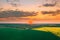 Aerial View Of Green Meadow And Field With Blooming Canola Yellow Flowers. Top View Of Blossom Plant, Rapeseed Meadow