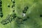 Aerial view of green meadows with trees and concrete bunker in the middle. Czechia