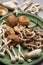 Aerial view of a green metal plate with a pile of white and brown shiitake and shimeji mushrooms