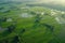 Aerial view of green paddy rice terraces generative ai