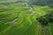 Aerial view of green paddy rice terraces generative ai