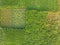 Aerial view of a green pasture land for the milking cows of a large cattle farm in rural India.