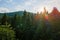 Aerial view of green pine forest with dark spruce trees covering mountain hills at sunset. Nothern woodland scenery from