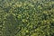 Aerial view of green pine forest with dark spruce trees. Nothern woodland scenery from above