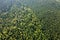 Aerial view of green pine forest with dark spruce trees. Nothern woodland scenery from above