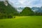 Aerial view of green rice fields and mountains, paddy field at Vang Vieng , Laos. Southeast Asia. Photo made by drone from above.