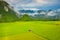 Aerial view of green rice fields and mountains, paddy field at Vang Vieng , Laos. Southeast Asia. Photo made by drone from above.