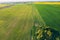 Aerial View Green Spring Field Landscape With Trails Lines. Top View Of Field With Growing Young Green Grass And Wheat