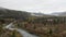 Aerial view of green spruce forest and cold clean river with rocks and cloudy sky on the background. Clip. National