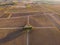 Aerial view of a green summer vineyard