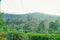 Aerial view of on a green tea plantation on hillside