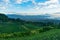 Aerial view of green tea plantations and Shizuoka city