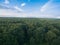 Aerial view of green trees forrest