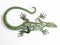 Aerial view of green wall lizard in wrought iron on white background. Exterior decoration object for garden