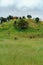 Aerial view of greenery field with trees