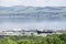 Aerial view of Greenock shipbuilding crane and Gourock ships at the coastal town from above