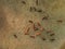 Aerial view of group of horses. Herd of young horses running, top view