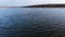 An aerial view of a group of mallard ducks swimming peacefully in a large lake. Wild ducks in vivo free nature