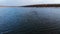 An aerial view of a group of mallard ducks swimming peacefully in a large lake. Wild ducks in vivo free nature