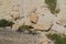 Aerial view of group of people hiking around a canyon with massive rock formations