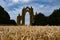 Aerial view of Guisborough Priory historic ruins behind growing wheat in the UK