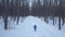 Aerial view on happy girl who runs around the snowdrifts in the forest. Scenic winter landscape