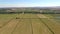 Aerial view of harvested fields