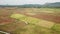 Aerial view harvester at paddy field at Penang