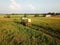 Aerial view harvester reaping in evening.