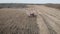 Aerial view harvester working on corn field. Autumn agricultural harvesting work.