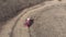 Aerial view harvester working on corn field. Autumn agricultural harvesting work.