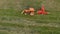 Aerial view harvesting agricultural machinery.