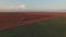 AERIAL VIEW. Harvesting Farm Machinery Working At Buckwheat Field