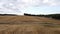 Aerial view of the hay bales at agricultural, the wheat field after harvest . Flying above stunning straight golden