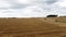 Aerial view of the hay bales at agricultural, the wheat field after harvest . Flying above stunning straight golden