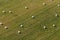 Aerial view of hay bales on the field