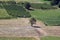 Aerial view Haystacks on the harvest fields in summertime, Zdencina, Croatia