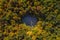 Aerial view of heart shaped forest lawn