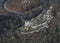 Aerial view of Helfenstein Castle Ruin in Weiler ob Helfenstein,  Swabian Alb, Germany