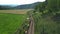 Aerial view of herd of cows on grazing