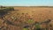 Aerial view of a Herd of Cows Grazing in the Ukrainian Village on Countryside