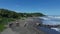 Aerial view of a herd of cows and horses at the beach in El Salvador