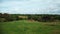 Aerial view of the herd of cows and sheep at green meadow