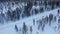 Aerial view of herd of reindeer, which ran on snow in Norway road